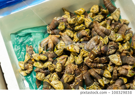 Kame no Te Kamenote 108329838