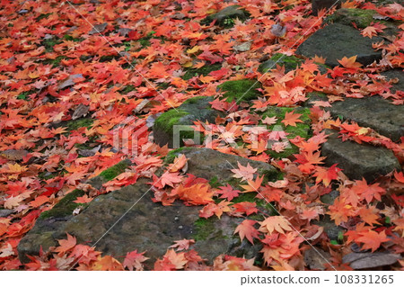 fallen leaves cobblestone fallen leaves cobblestone 108331265