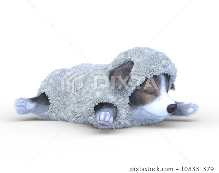 Welsh Corgi Pembroke 108331379