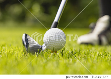 Golf course with beautiful fresh green Golf course with beautiful fresh green 108331666