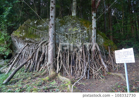立雲峽最大的岩石【兵庫縣朝來市】 108332730