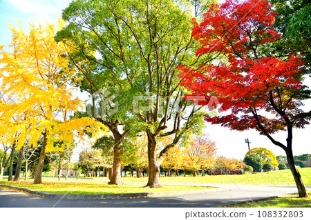 Metropolitan Shinozaki Park Area A (Edogawa-ku, Tokyo) [2021.11] 108332803