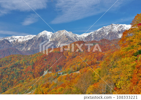 眺望白馬三山的櫂池高原的三層紅葉 眺望白馬三山的櫂池高原的三層紅葉 108333221