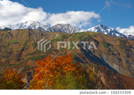 從五龍遠景看到八方尾根和白馬三山的三層紅葉 從五龍遠景看到八方尾根和白馬三山的三層紅葉 108333309
