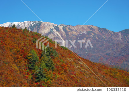 Three-tiered autumn leaves on Happo-one and Mt. Korenge in the Hakuba mountain range Three-tiered autumn leaves on Happo-one and Mt. Korenge in the Hakuba mountain range 108333318