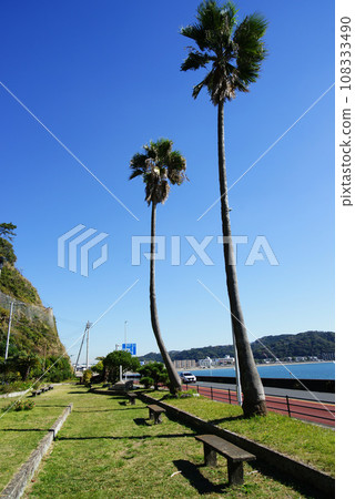 不動園地逗子並子 108333490