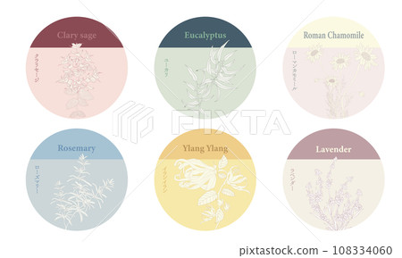 草本標籤，鮮花，迷迭香，薰衣草，尤加利，快樂鼠尾草，依蘭，洋甘菊 108334060