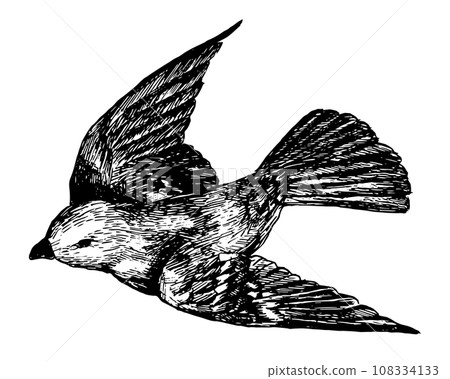 復古線畫撲騰的鳥 108334133