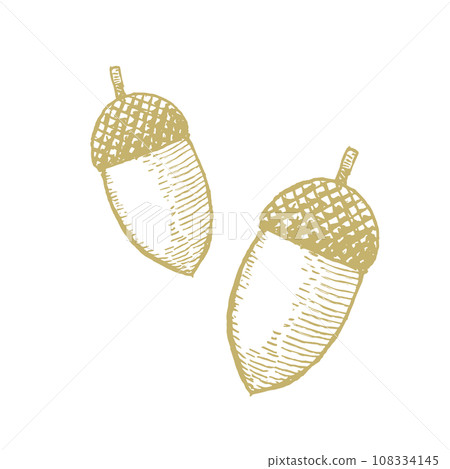 Hand drawn acorn retro illustration 108334145
