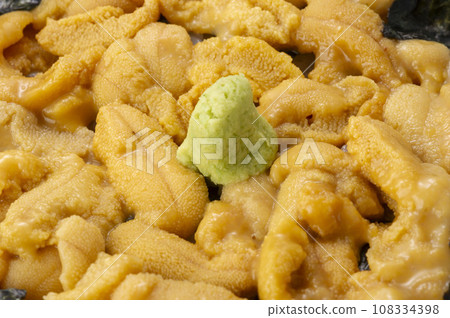 新鮮美味的海膽 108334398