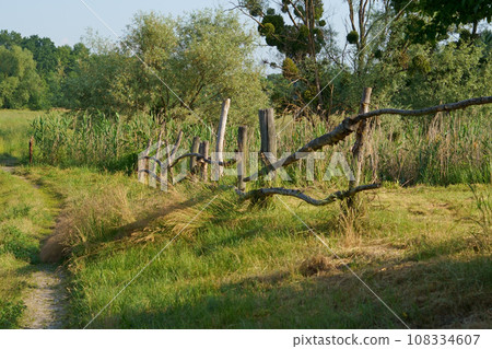 Depressed region. Dilapidation of the village. An unkempt old fence and outskirts. View of outskirts and pole fence in village 108334607