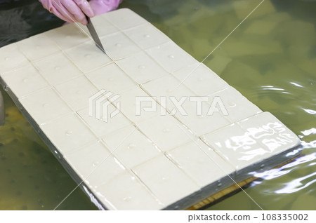 Make tofu 108335002