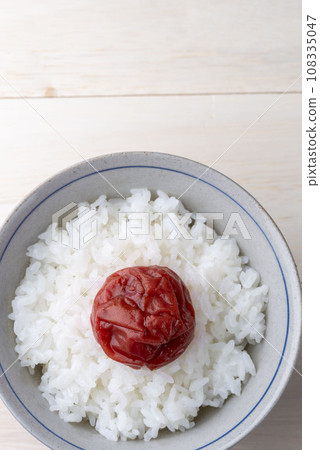 美味的梅子飯 108335047