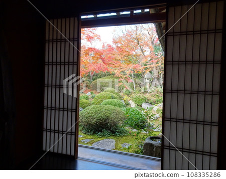 Explore Kyoto's autumn leaves at Genkoan 108335286