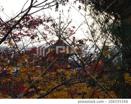 Wandering around Kyoto's autumn leaves - Kodaiji edition Wandering around Kyoto's autumn leaves - Kodaiji edition 108335348