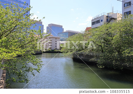 Spring scenery of Oyokogawa River seen from Higashitomibashi 108335515