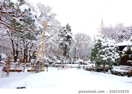 Snowy scenery, winter scenery, snow enclosure, Momiji Park, Yamagata City 108335670