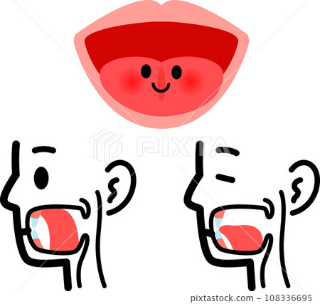 Illustration of the tongue attached to the roof of the mouth and the tongue lowered 108336695