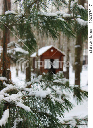 Focus On A Foreground Spruce Branches With Snow Cap In Front Of Small Wooden Gazebo In A Winter Park Focus On A Foreground Spruce Branches With Snow Cap In Front Of Small Wooden Gazebo In A Winter Park 108337047
