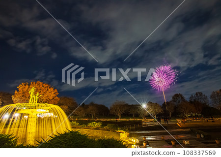 昭和記念公園的噴泉照明和煙火 昭和記念公園的噴泉照明和煙火 108337569