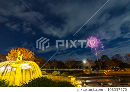 昭和記念公園的噴泉照明和煙火 昭和記念公園的噴泉照明和煙火 108337570