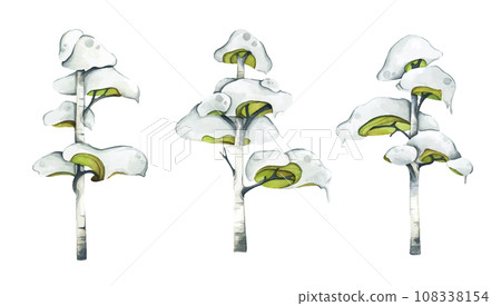 Watercolor illustration of Winter snow-covered tree. 108338154