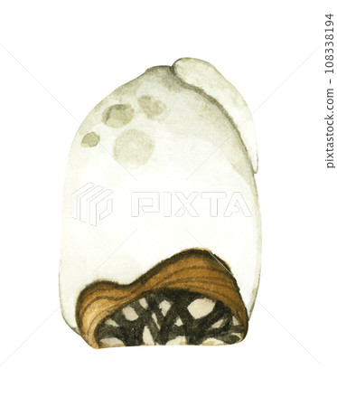 Watercolor illustration of Winter snow-covered tree. 108338194