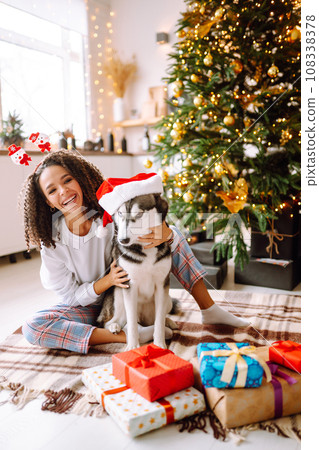 Beautiful woman playing and having fun with her dog while sitting near the christmas tree. 108338378