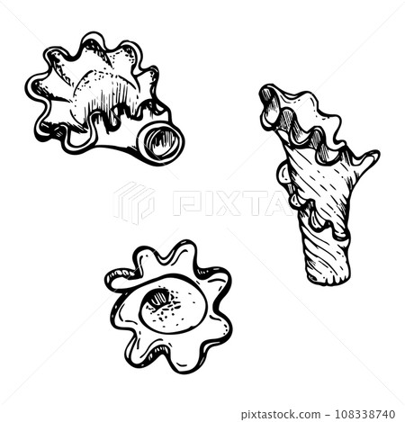 Hand drawn vector ink illustration. Types of pasta Italian cuisine traditional dish campanelle. Set of single object elements isolated on white. Restaurant, menu, food shop and package, flyer, print. 108338740
