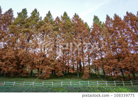 Tove Jansson Akebono Children's Forest Park (Hanno City, Saitama Prefecture) Tove Jansson Akebono Children's Forest Park (Hanno City, Saitama Prefecture) 108339775