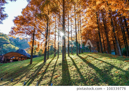 Tove Jansson Akebono Children's Forest Park (Hanno City, Saitama Prefecture) 108339776