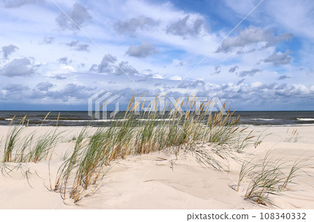 Grass and sand on the Baltic Sea coast 108340332