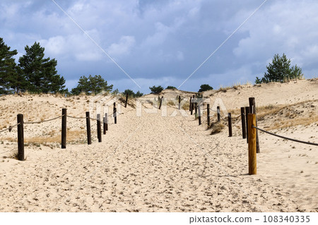 Tourist trail through the dunes near Czolpino village 108340335