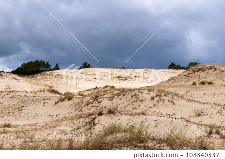 Dunes near Czolpino village 108340337