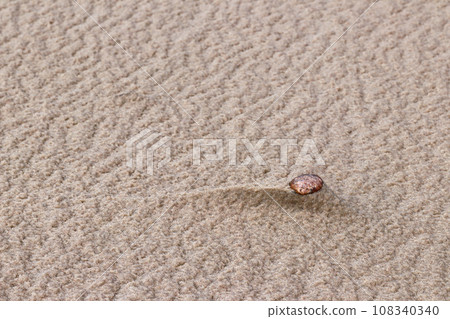 A pebble on a sandy beach 108340340