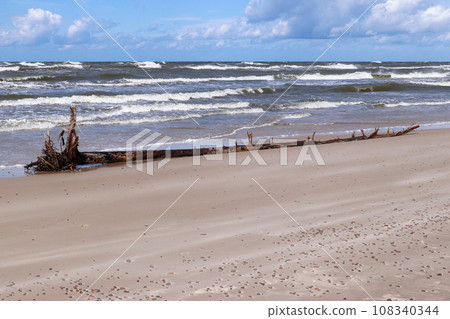 Baltic Sea coast and wild beach next to moving dunes in the Slovincian National Park 108340344