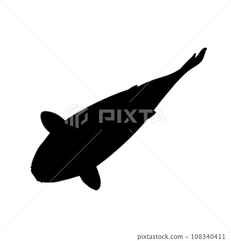 從上面看到的游泳魚剪影圖黑色 108340411