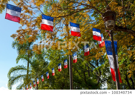 French bunting flags 108340734
