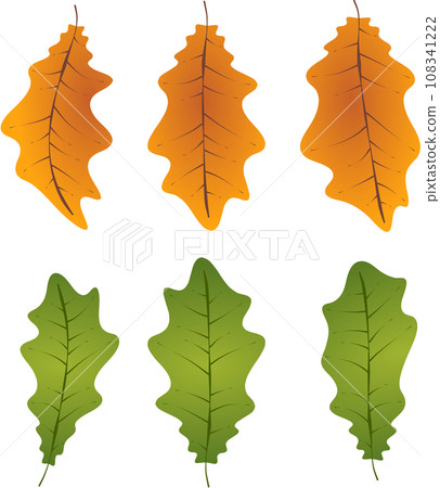 Autumn oak leaves foliage fallen graphic illustrated colours orange green 108341222