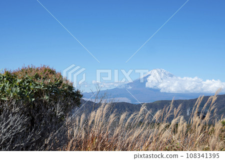 Owakudani Mt. Fuji image [Hakone Town, Kanagawa Prefecture] 108341395