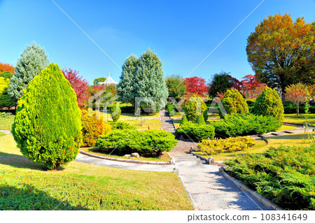Metropolitan Akirudai Park Conifer Garden (Akiruno City, Tokyo) [2023.11] 108341649