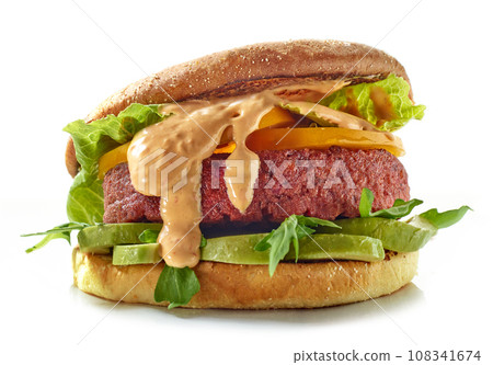 fresh tasty vegan burger fresh tasty vegan burger 108341674