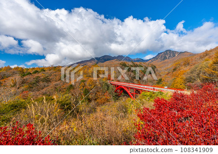 八公 秋葉紅橋(東澤橋) 山梨縣北斗市 八公 秋葉紅橋(東澤橋) 山梨縣北斗市 108341909