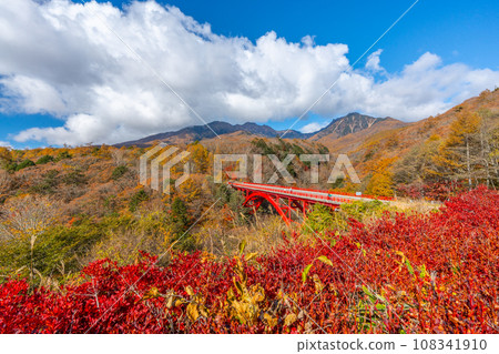 八公 秋葉紅橋(東澤橋) 山梨縣北斗市 八公 秋葉紅橋(東澤橋) 山梨縣北斗市 108341910
