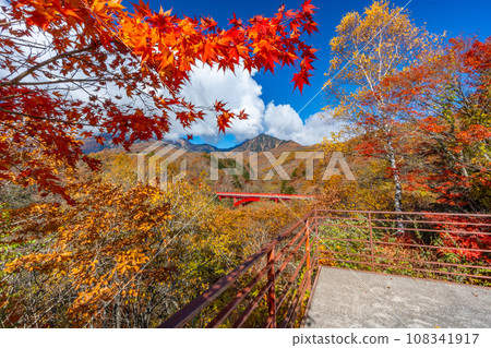 八公 秋葉紅橋（東澤橋） 山梨縣北斗市 108341917