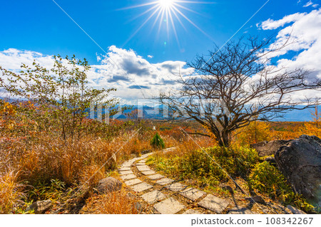 Beautiful autumn leaves in Kiyosato, easy hiking even for beginners (about 15 minutes to the summit) 108342267
