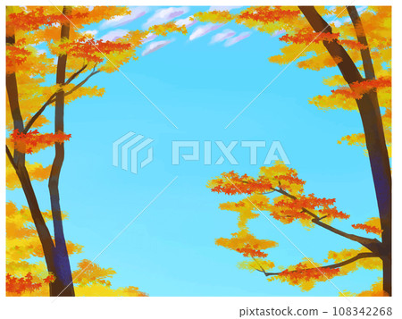 Autumn sky and maple 108342268