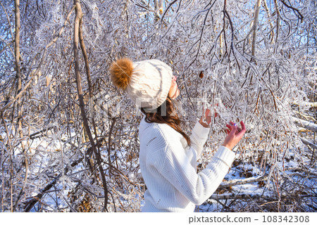 Portrait of young Russian woman in white sweater and beanie next to frozen branches of birch trees, covered with ice. Winter forest in Russia 108342308