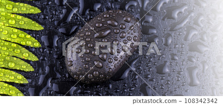 Stacked wet spa stone with green leaf. selective focus.tone image on sunlight Stacked wet spa stone with green leaf. selective focus.tone image on sunlight 108342342