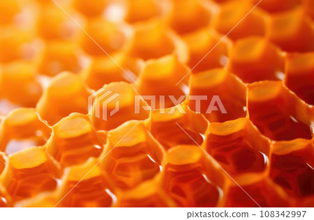 Fragment of honeycomb with full cells in bright sunlight Fragment of honeycomb with full cells in bright sunlight 108342997